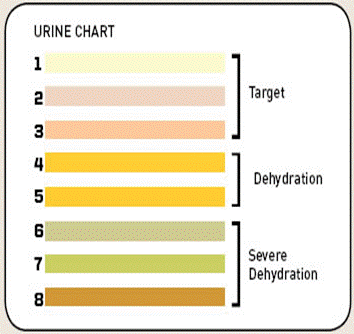 urine-chart